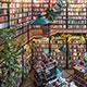 Bookstore Mexico City